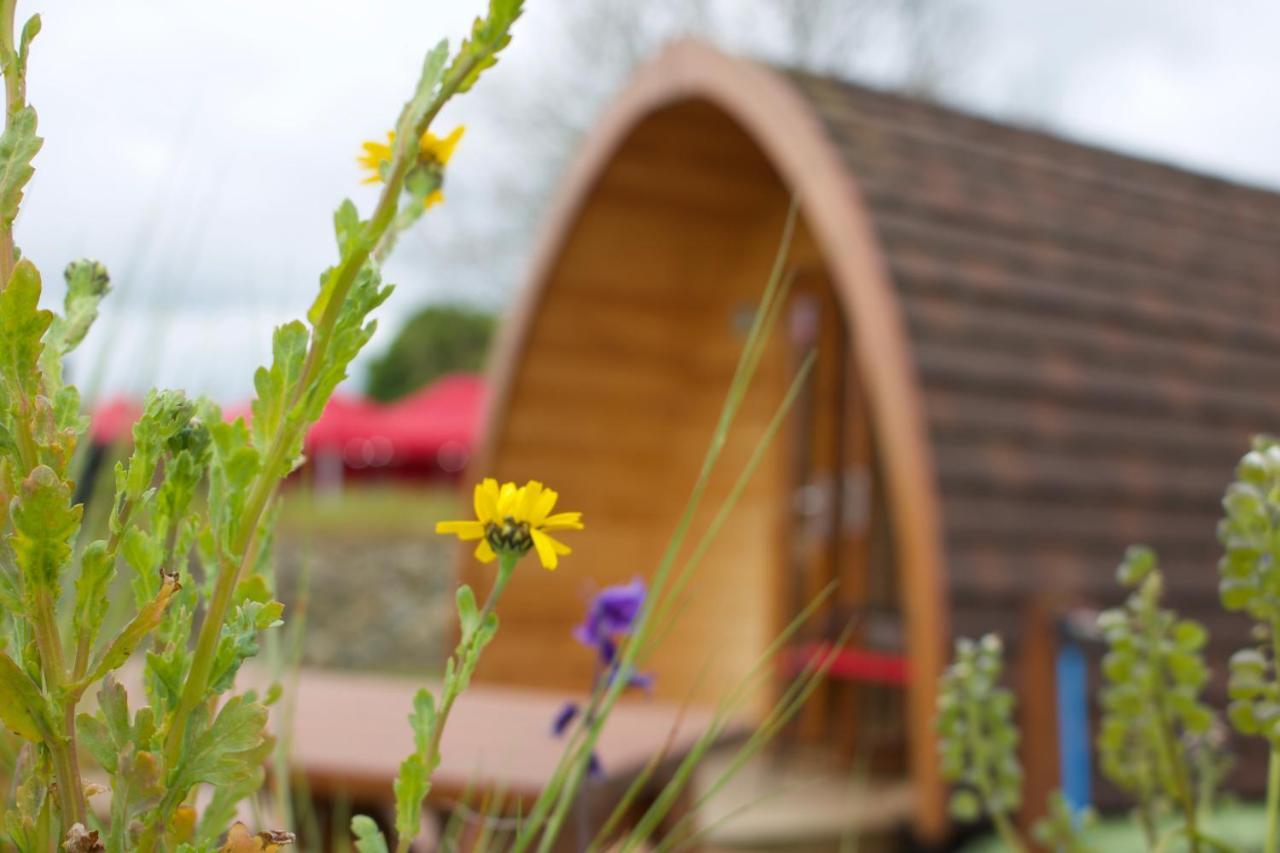 Hotel Bluebell Lane Glamping Newry Zewnętrze zdjęcie